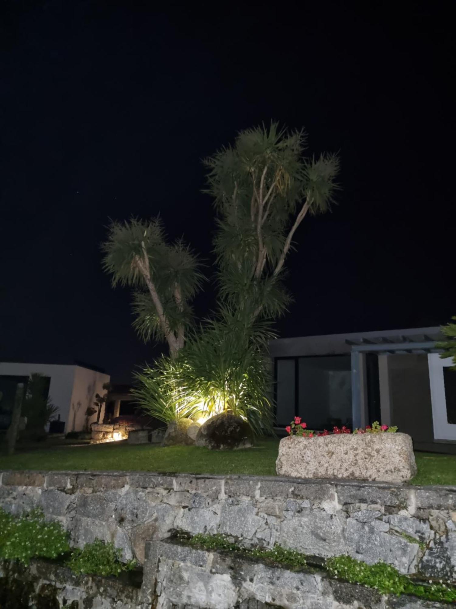 הוילה אמרנטה Casa Da Leira מראה חיצוני תמונה