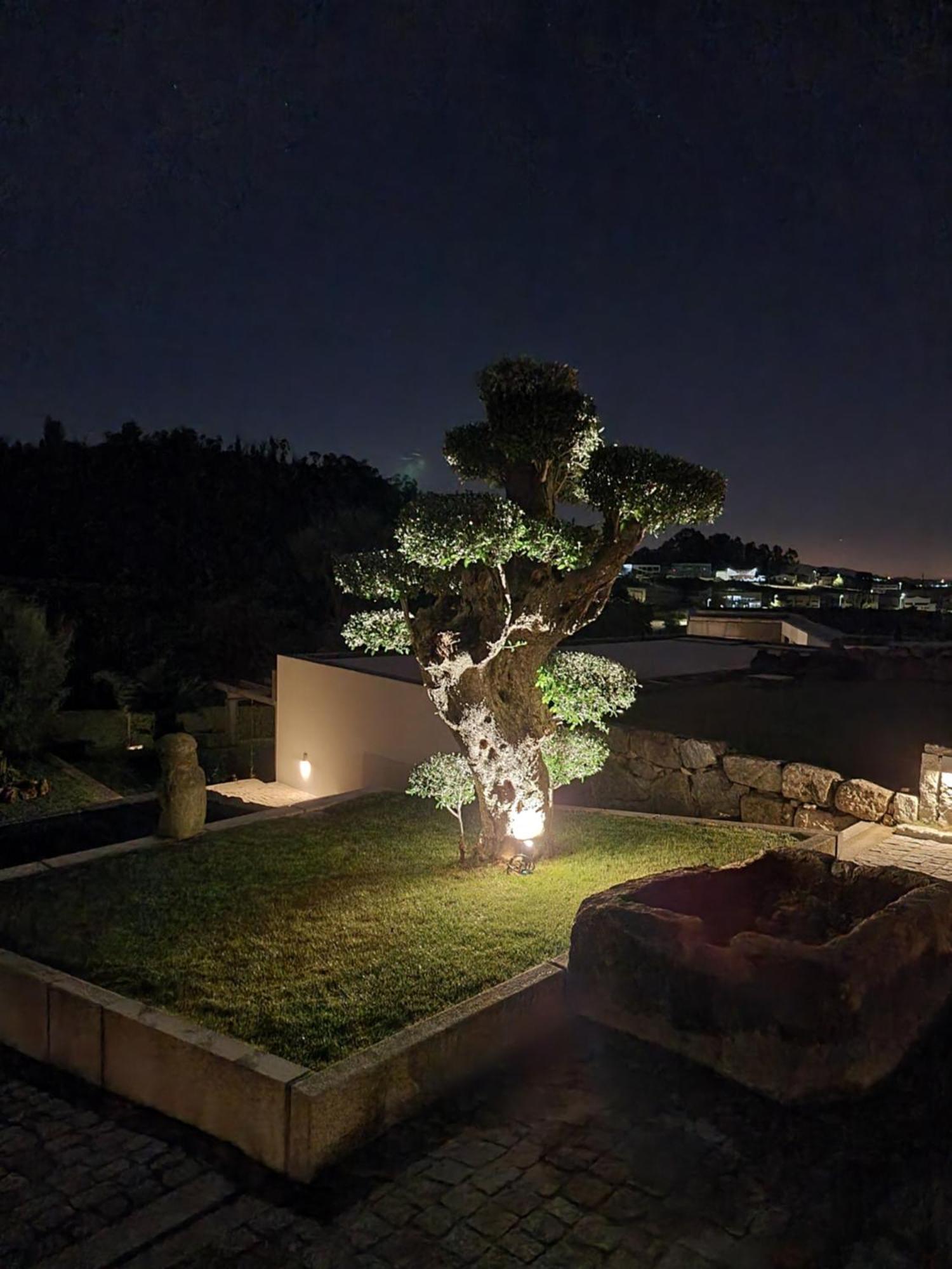 הוילה אמרנטה Casa Da Leira מראה חיצוני תמונה