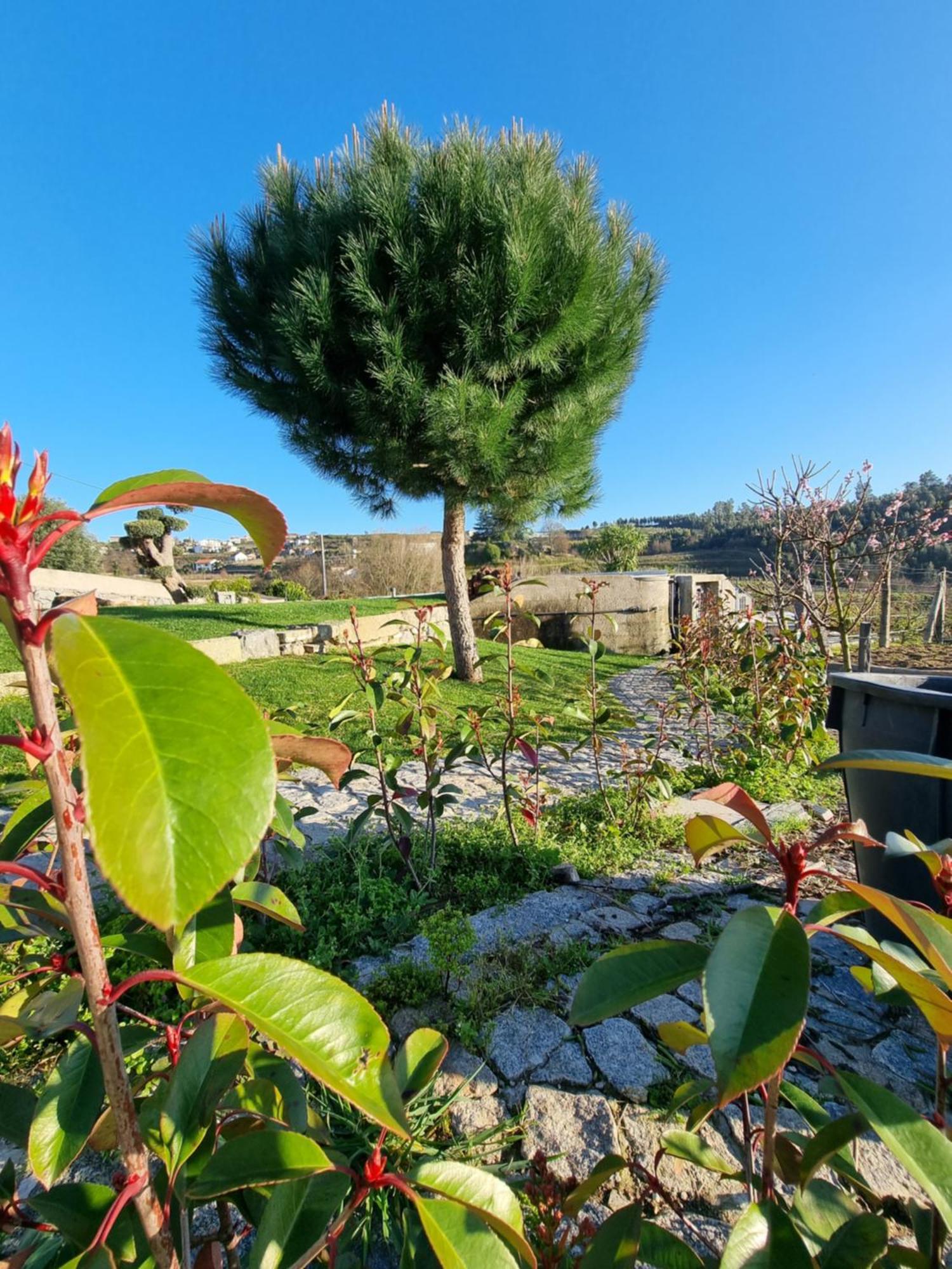 הוילה אמרנטה Casa Da Leira מראה חיצוני תמונה