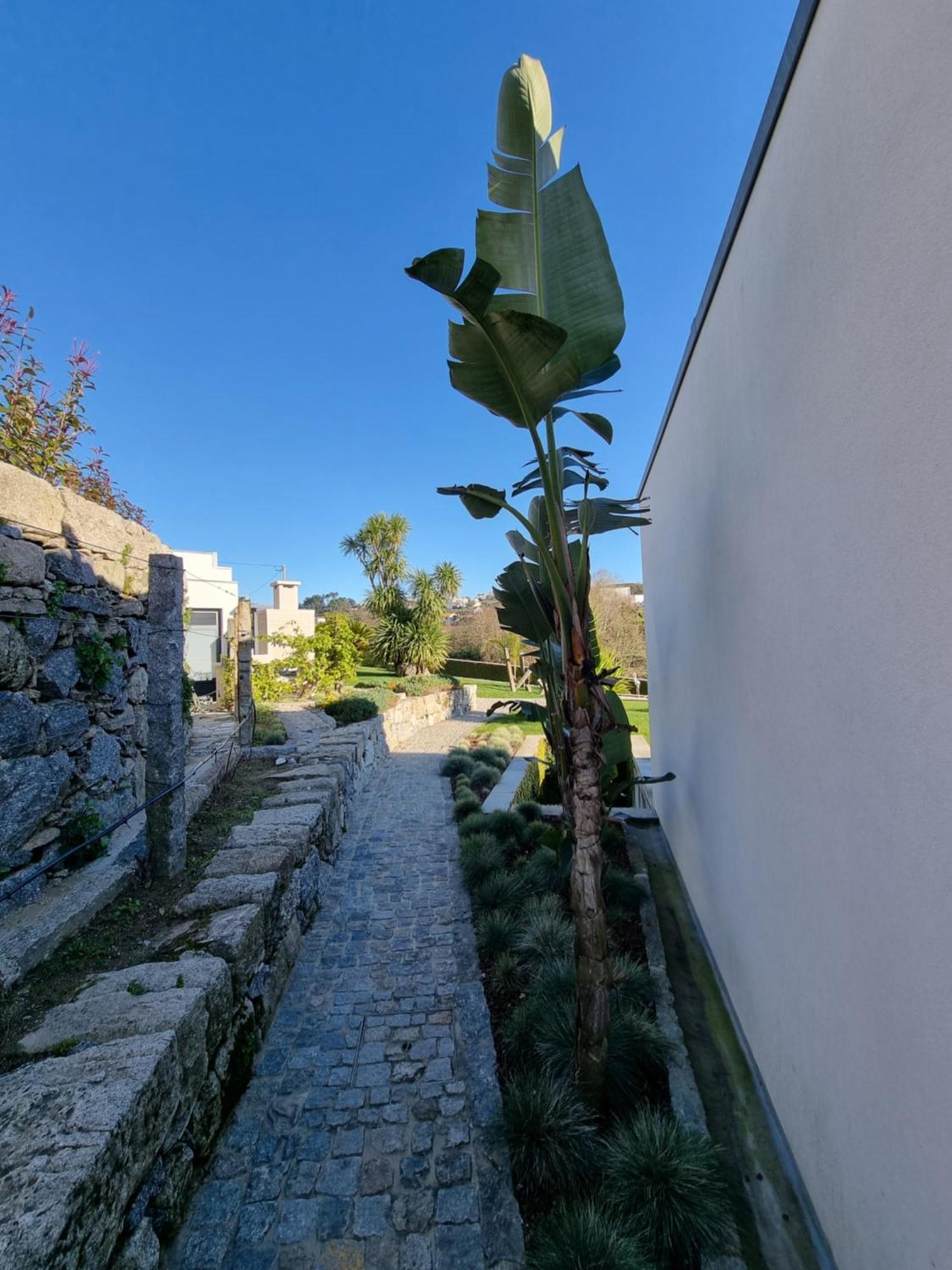 הוילה אמרנטה Casa Da Leira מראה חיצוני תמונה