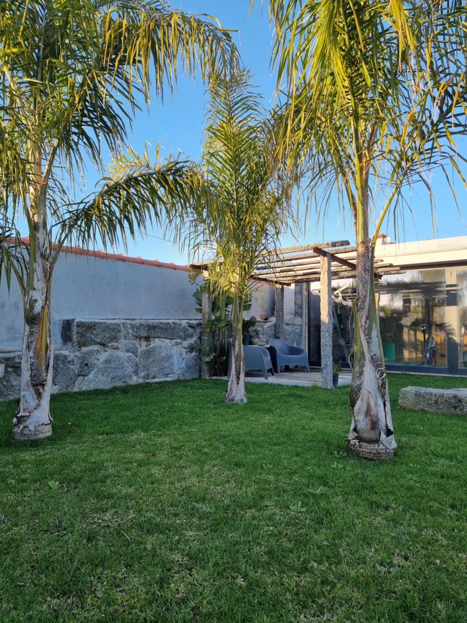 הוילה אמרנטה Casa Da Leira מראה חיצוני תמונה