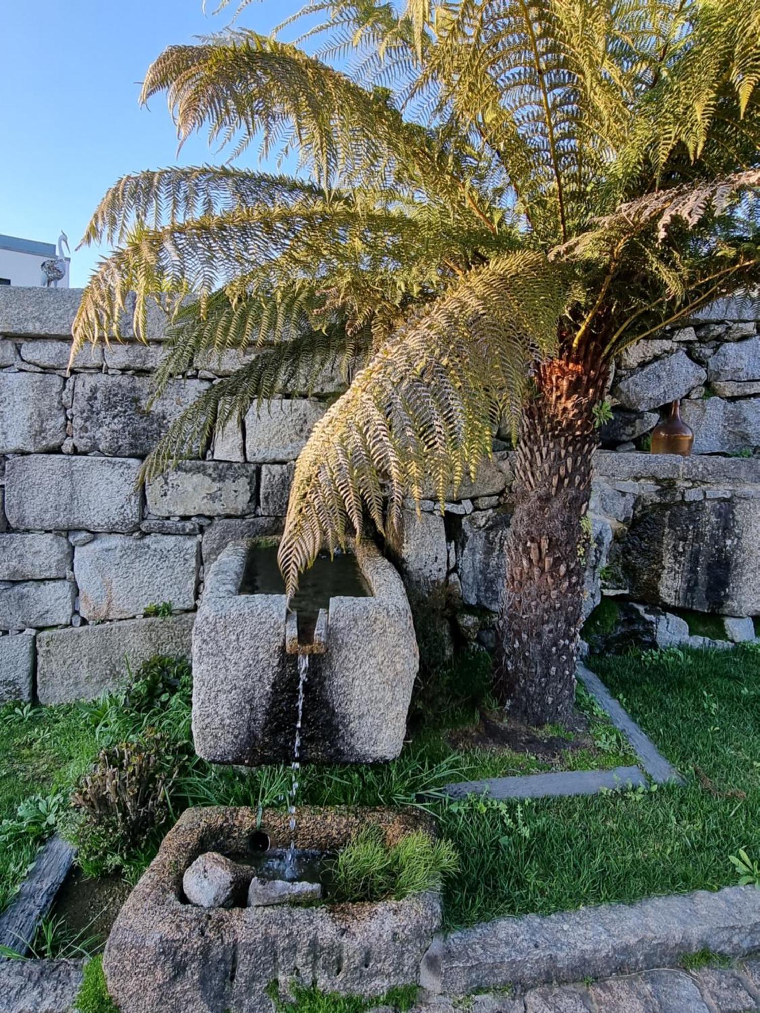 הוילה אמרנטה Casa Da Leira מראה חיצוני תמונה